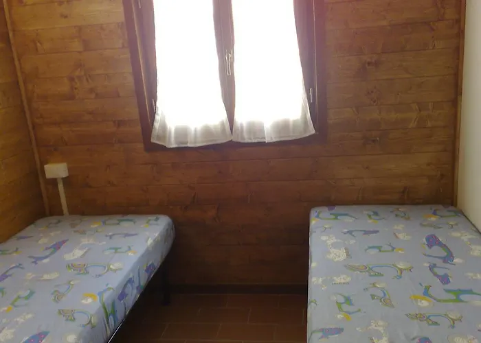 Luni Kamp alanı *